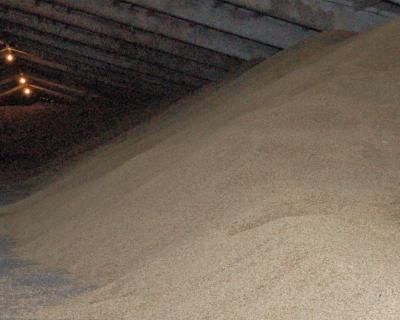 Цены на зерно в России почти замерли