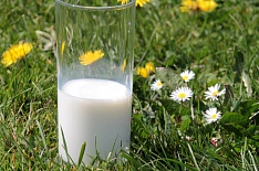 Потребление молочных продуктов продолжает падать
