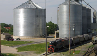 Перевозки зерна в январе — рекордные: 1,13 млн т