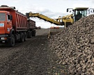 Рекордный урожай сахарной свеклы сократил использование импортного сахара-сырца