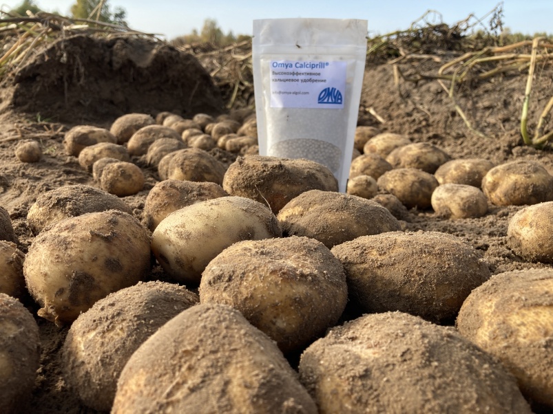 Кальциево-магниевое питание и раскисление почв как залог высокого урожая маржинальных культур