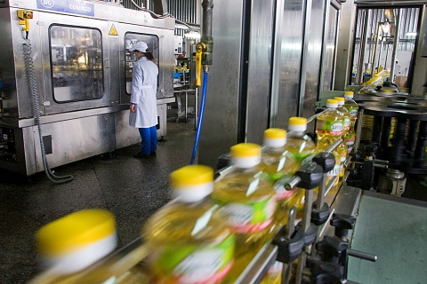 Субсидии для производителей масла составят 10 рублей за литр