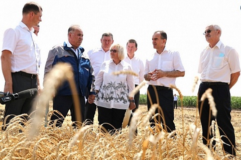 Губернатор Краснодарского края оценил уборку на полях «Прогресс Агро»