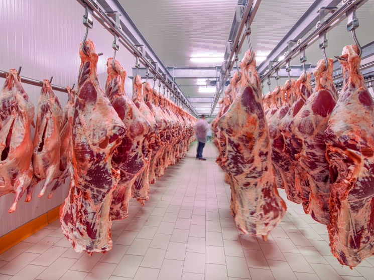 Кризис не помешал нарастить мяса. Участники шестого рейтинга «Агроинвестора» в прошлом году выпустили почти 6 млн т мяса
