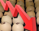 Птицефабрика "Боровская" сократила производство яиц