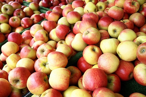 Сенаторы подключились к борьбе с нелегальным импортом польских яблок