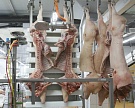 Производство свинины в мире снизится