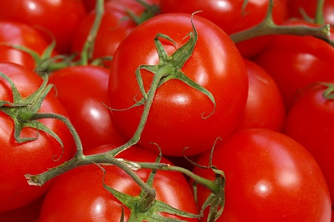 Минсельхоз планирует увеличить квоту на ввоз турецких томатов