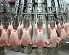 Евросоюз отменил эмбарго для России по мясу птицы