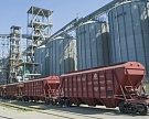 Россия может расширить агроэкспорт в Китай