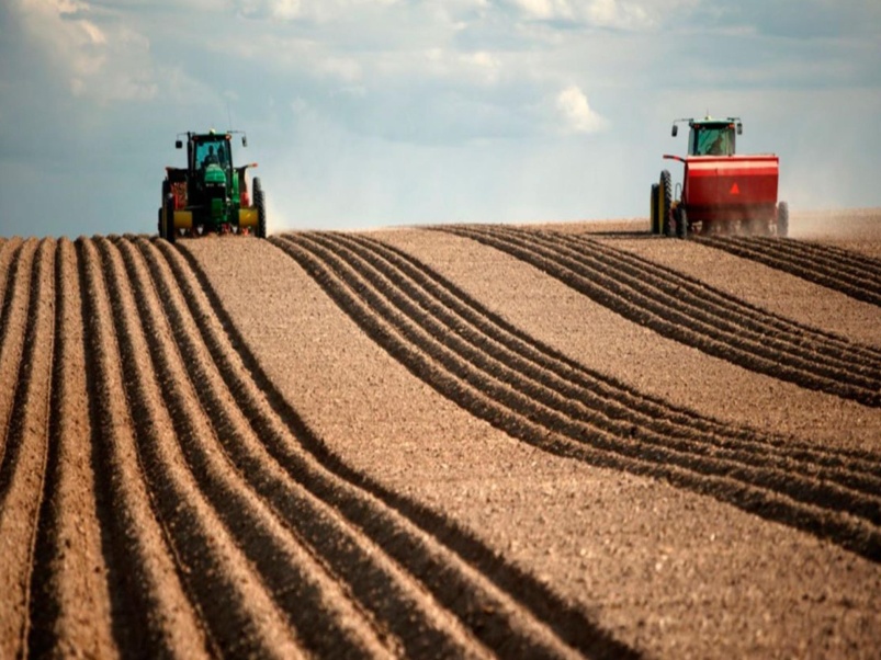 Плодородные земли для выращивания зерновых в Курганской области (Частоозерский район)