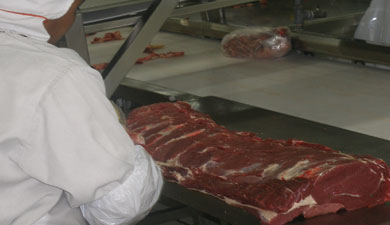 Необходимо увеличить производство высококачественной говядины