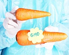 Россия против ГМО