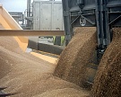 До конца сезона нужно экспортировать 20 млн тонн зерна