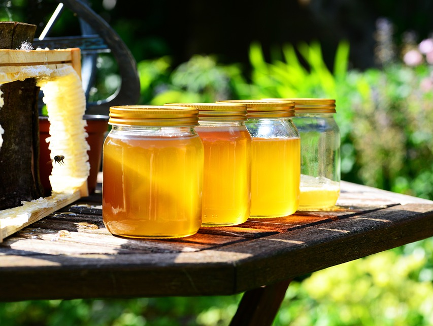 Пчеловоды в этом году недополучили почти треть меда