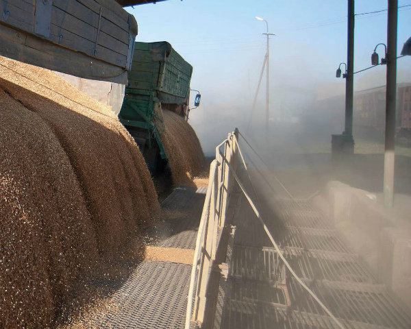 Владимир Путин: урожай зерна может составить 150 млн тонн