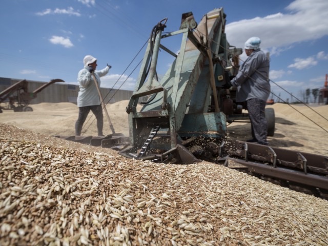 Фермеры продали 1364 т пшеницы. Зерновая интервенция это. Фермеры продали 1364 тонны пшеницы.