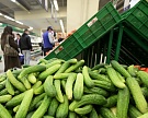 Цены на плодоовощную продукцию за неделю упали на 2,6%