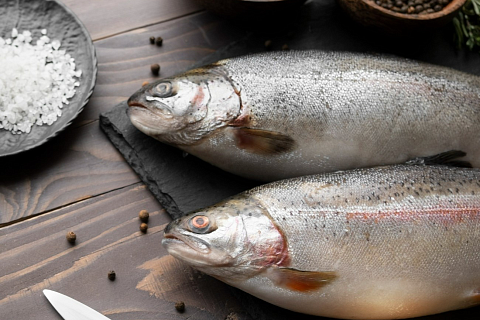 ФАС проверит цены на рыбную продукцию