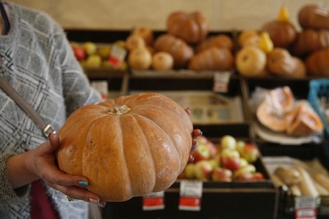 Минсельхоз рассчитывает увеличить господдержку малого агробизнеса