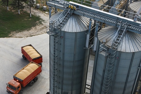«Русагротранс» ожидает рекордного экспорта пшеницы в июле