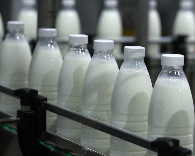 «Клеверенс софт» помогла холдингу «Степь» внедрить маркировку молочной продукции