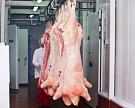 «Агро-Белогорье» за три квартала 2015 года отправило на убой свыше 1 млн свиней