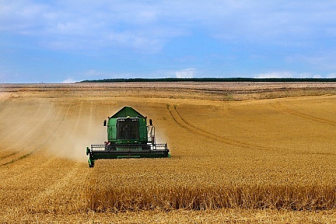 РЗС предлагает заменить экспортную пошлину на зерно квотой