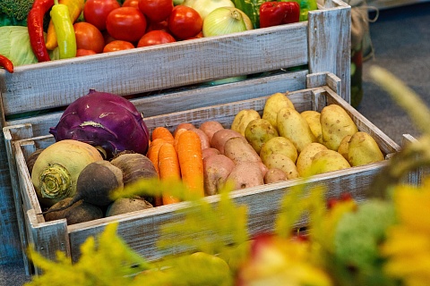 В России увеличился сбор овощей «борщевого набора»