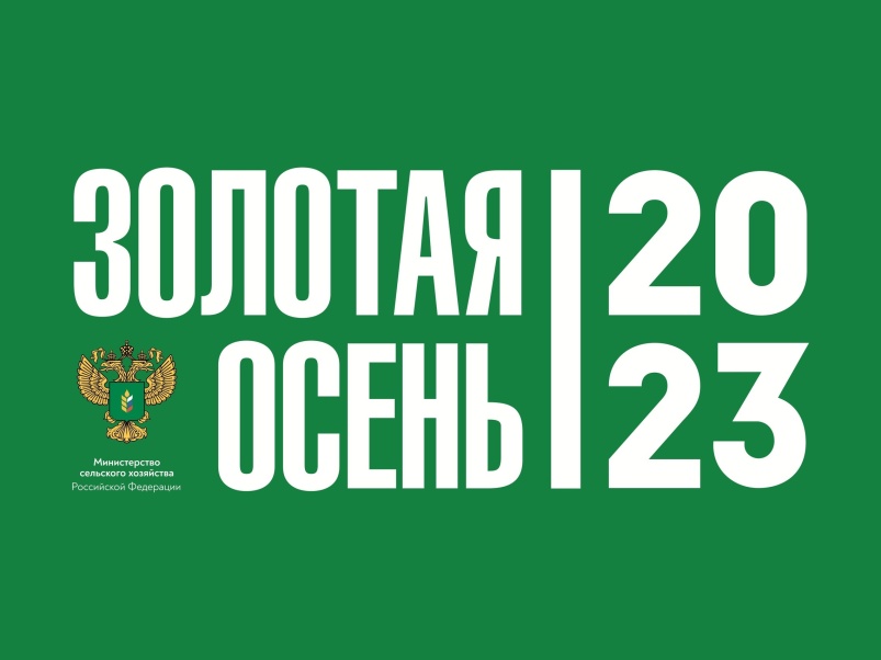 На пленарном заседании выставки «Золотая осень — 2023» обсудили вопросы развития аграрного образования