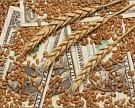 Закупочные цены на зерно нового урожая приемлемы