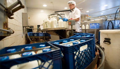 В Липецкой области договорились о порядке формирования цен на молоко