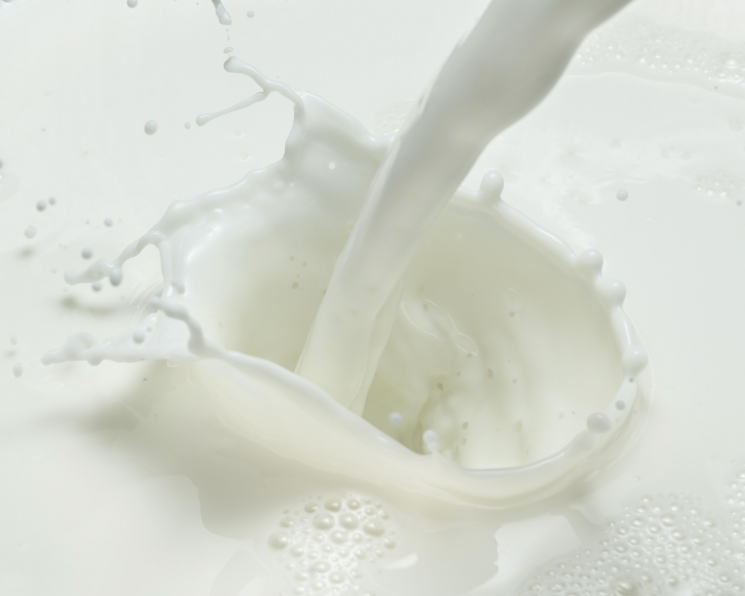 Куда текут молочные реки. Как меняются спрос и цены на продукцию из молока