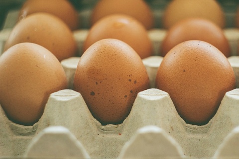 В 2022 году топ-20 крупнейших производителей выпустили 15,4 млрд пищевых яиц