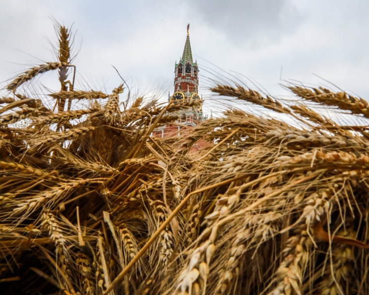 Продуктовая стратегия. Сможет ли импортозамещение спасти от проблем в мировой торговле, вызванных пандемией коронавируса