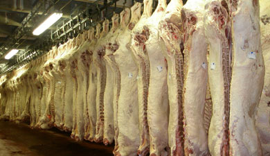 Производство мяса выросло на 11%