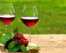 Цены на вино будут под контролем правительства
