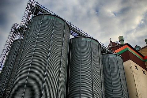 Сбор зерна превысил 140 млн тонн в бункерном весе