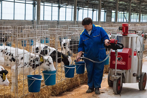 СХП «Мокрое» приступило к программе генотипирования