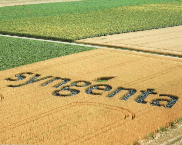 ChemChina купит Syngenta за $43 млрд. Сделка будет закрыта во втором квартале 2017 года