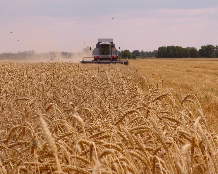 Минсельхоз США повысил прогноз экспорта российской пшеницы