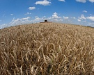 Число сельхозорганизаций за 10 лет сократилось на 40%