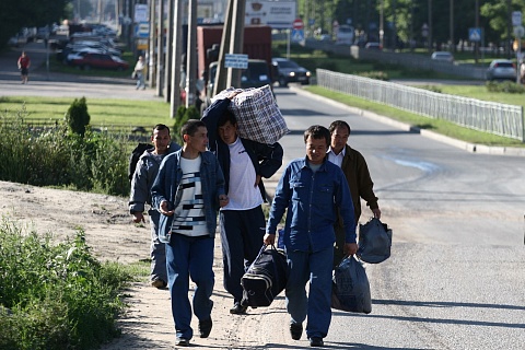Мигранты не поедут за рублем? Сохранится ли дефицит сезонных рабочих в АПК
