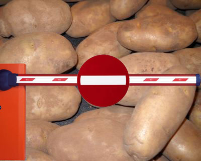 Россельхознадзор вводит запрет на ввоз картофеля из Украины