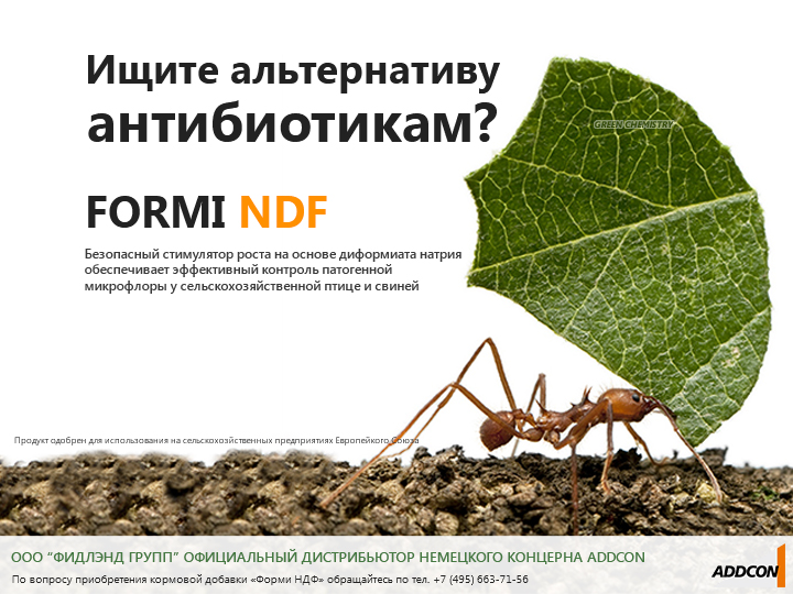 Партнерский материал. Влияние Formi NDF на здоровье и производительность несушек