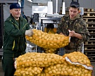 «АФГ Националь» вложит 7,4 млрд рублей в картофельный бизнес