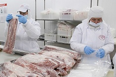 Производство свинины достигло 4,9 млн тонн