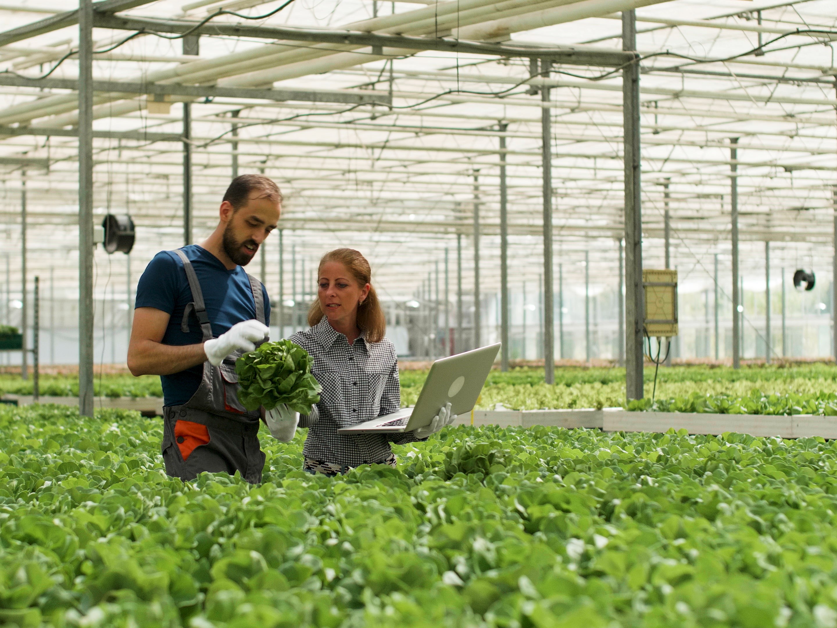 Россельхозбанк и Российская академия наук будут готовить кадры для АПК