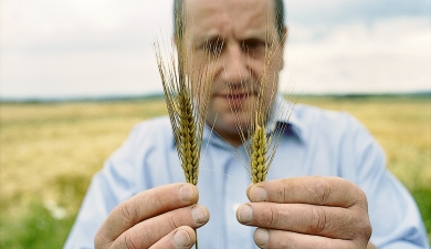 Syngentа раскрыла «эффект жизненной силы»