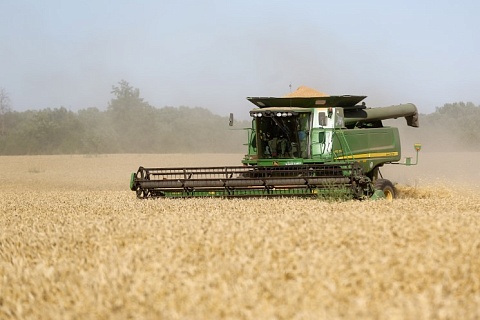 «СовЭкон» повысил прогноз урожая пшеницы